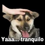 Te amo Gracias por tenerme paciencia