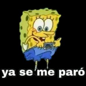 1wSL6u