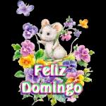 Feliz Domingo