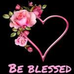 GOOD NIGHT!
Sweet Dreams!