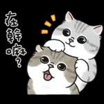 愛撒嬌的奶油小生 (虎斑貓)