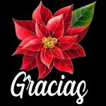 gracias