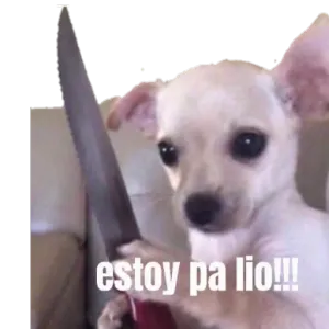 UDWA5q