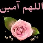 🤣🤣🤣🤣🤣🤣