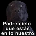 Son buenos pero no tanto