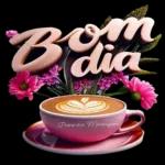 BOM DIA! MIL GRACIAS!