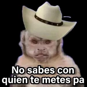No sabes con quien te metes pa - getsticker.com