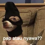 ppp