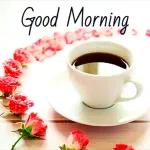 best wish for you