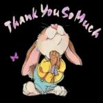 Thank You So Much
devet By Lynne