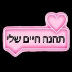כל מיני