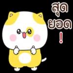 แมวนานาประเภท