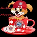 ⚽️FC Bayern⚽️