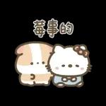 Hello Kitty 50週年 x 天竺鼠布丁 溫暖日常