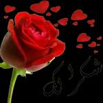 أسعد الله أوقاتكم