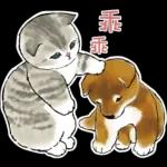 柴柴與貓咪 pack1