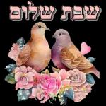 שבת שלום 