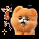 ชอบเอ้ย