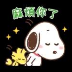 PEKO醬☆冬季繽紛