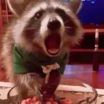 mira, es un mapache🦝