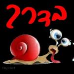 יפות  5