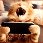 Ooo, как вы заговорили....