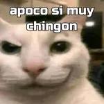 te estoy viendo!! no lo agas