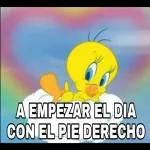 Charo