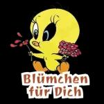 Blümchen für Dich, weil Du so lieb bist
