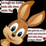 Schöne Abendstunden🌹