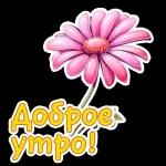 Доброе утро
