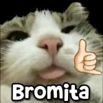 QUE TA CHENDO Dias