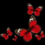 yakup1970ciftci@gmail.com