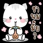 ค ว า ม รั ก ..เป็นการสนับสนุน 