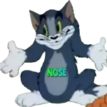 NOSE