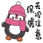 這麼冷，哪受得了~~