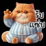 แมวขี้โมโหในชุดนอนสีอ่อน