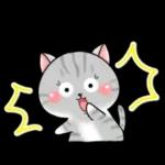 Cats! For reply