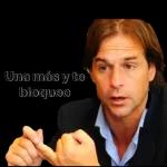 Esta perraestá loca!