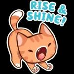 Are you hungry😏😏😆😆😆