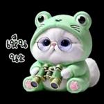 ข้าวต้ม ชุดกบ หน้าบูด