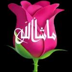 Azan Ali Bh