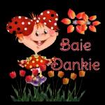 Baie
Dankie