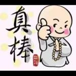 聪明可爱的小弥勒😉