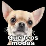 Amo a mi Familia