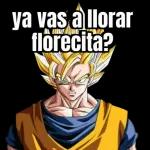 ya vas a llorar
florecita?