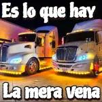 Es lo que hay La mera vena