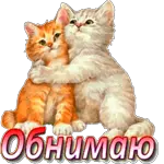 dia&dia