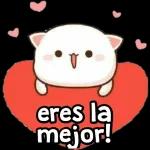 gatitos
