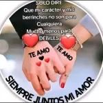 te amito 